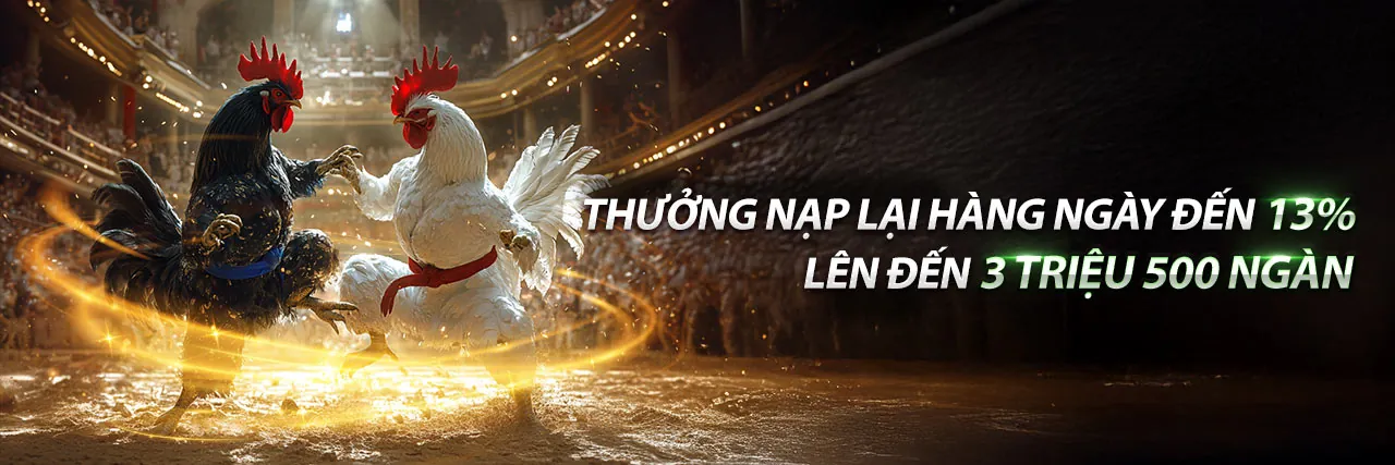 Hình ảnh giới thiệu nền tảng for88 code